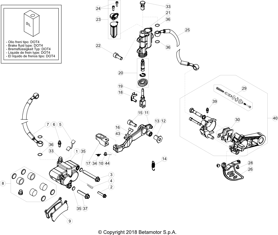 36 BRAKES - Beta Genuine