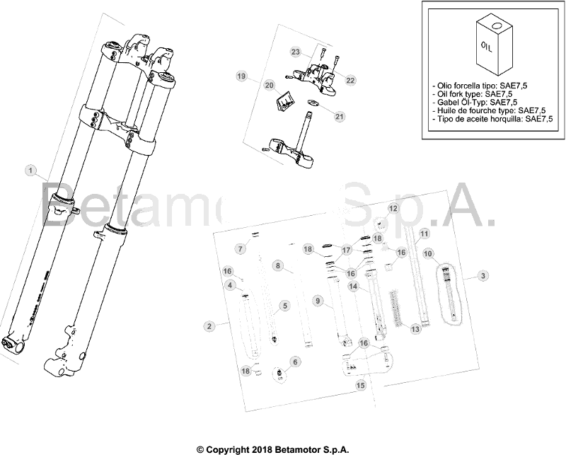 34 FRONT FORK - FROM CHASSIS 120052 TO 129999