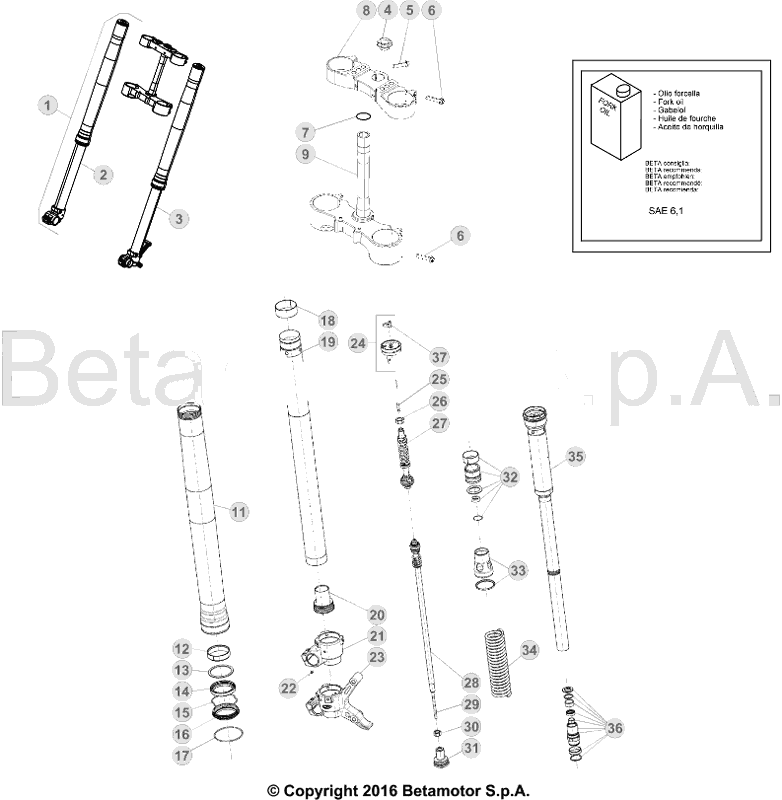 34 FRONT FORK