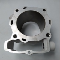 CYLINDER D95 SIZE=1 RR400/450 MY11-MY14