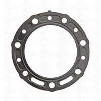 CYLINDER-HEAD GASKET