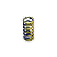 CLUTCH SPRING