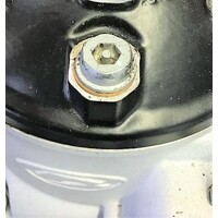 SECURITY BOLT