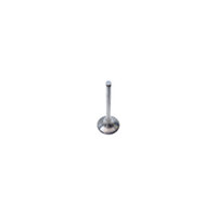 INTAKE VALVE RR350-390 MY11>