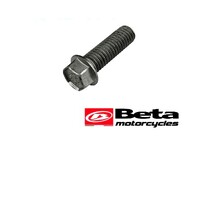 SCREW M8 X 25 (FORK PINCH 8.8)