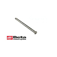 SWINGARM PIVOT BOLT 2ST/4ST RR MY20>