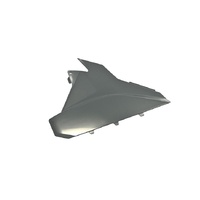 SIDE PANEL GREY RR/XT