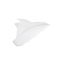 SIDE PANEL WHITE RR/XT