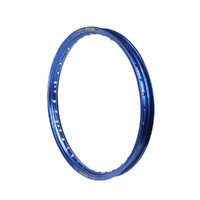 FRONT RIM BLUE 21 INCH ALL RX MODELS