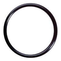 O'RING 21,95.25,51.1,78