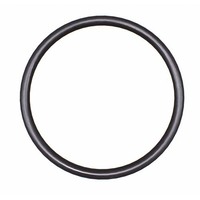 OIL SEAL (O'RING)