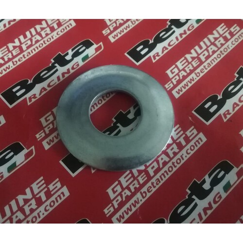 SPROCKET FIXING DISK SPRING 17
