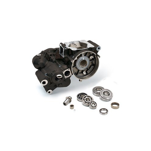 CRANKCASE EVO-2T 13 300CC FACT