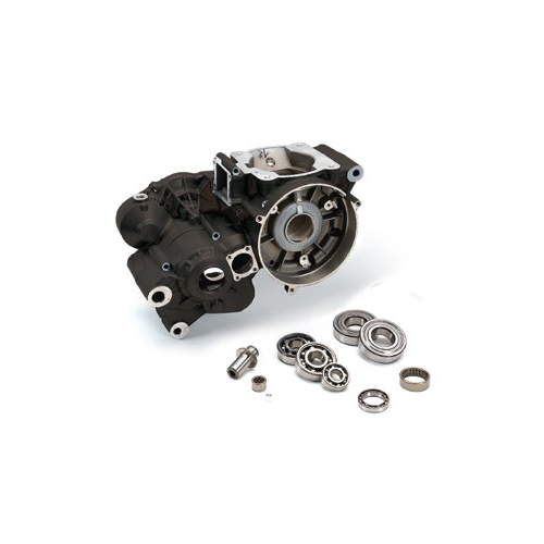 MAGNESIUM CRANKCASE. EVO-2T