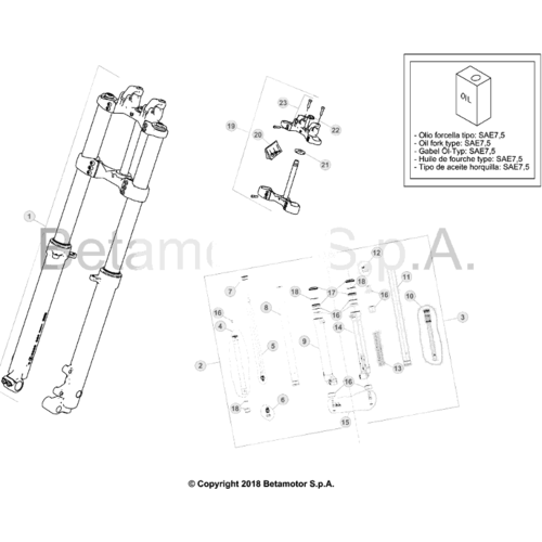 34 FRONT FORK - FROM CHASSIS 120052 TO 129999