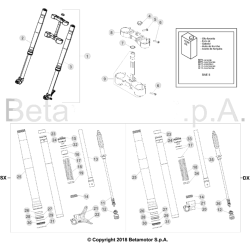 34 FRONT FORK