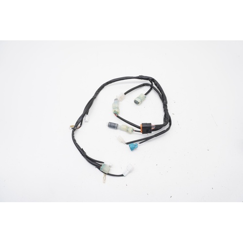 MAIN WIRING HARNESS RR200/250/300 MY20>