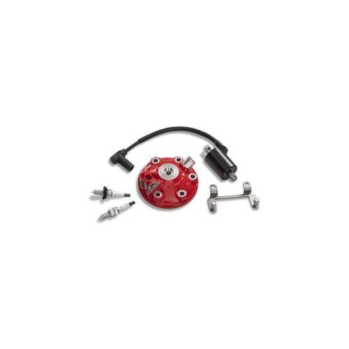 TWIN SPARK CYLINDER HEAD KIT 2ST RR300 MY22>