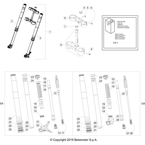 34 FRONT FORK