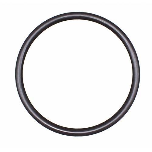 OIL SEAL (O'RING)