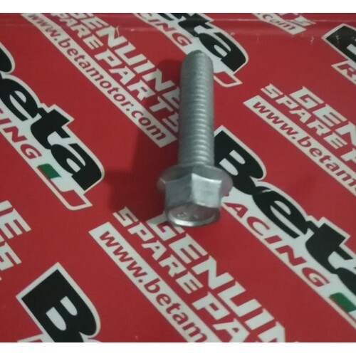 BOLT 6.25