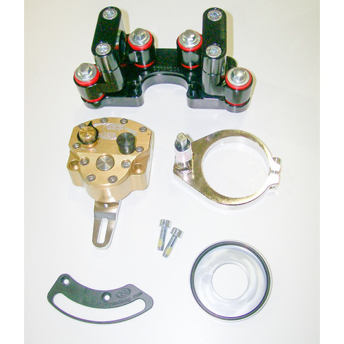 SCOTTS STEERING DAMPER W/-BRP BAR MOUNT 2ST RR/XT